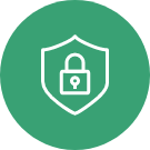 Network Security Icon